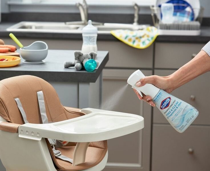 Disinfection & Sanitization – Germ-Free Peace of Mind